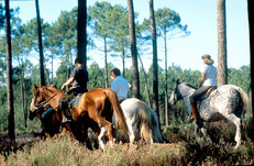 immobilier equestre gironde